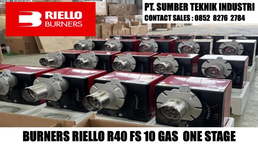 RIELLO FS 10 ,