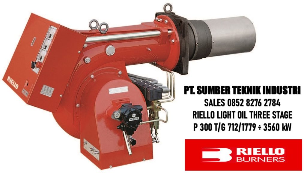 RIELLO P 300 TG