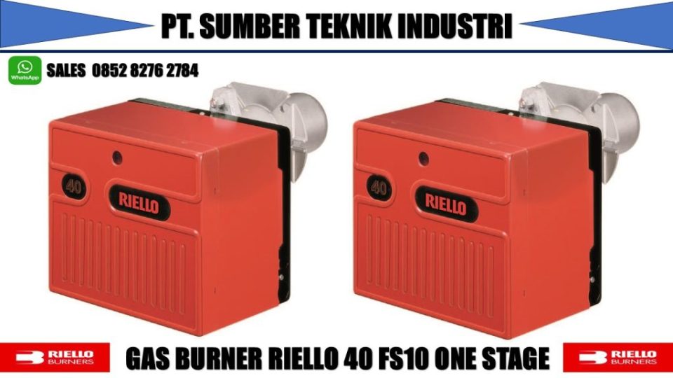 FS 10