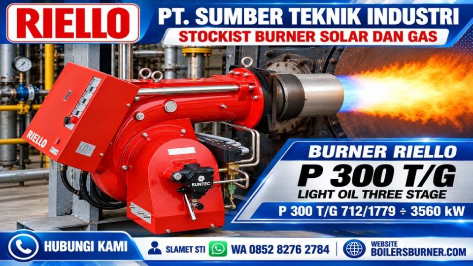 RIELLO P 300 TG PROFIL 3